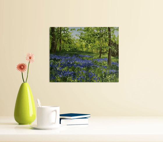 Bluebell Woods