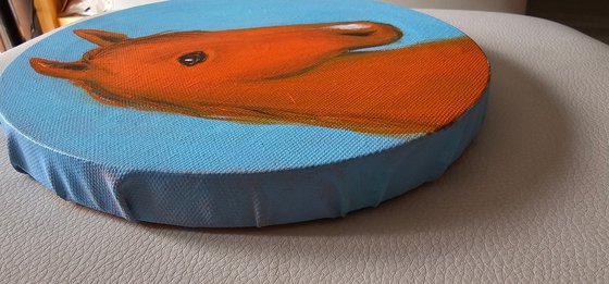 My little orange chestnut horse on blue
