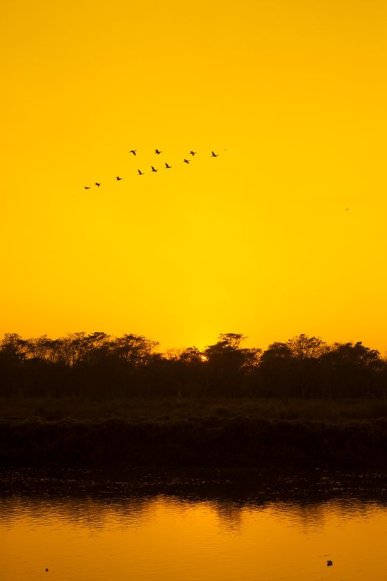 Sunset in Chitwan