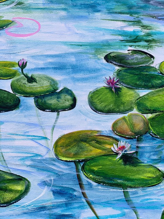 Water Lilies 4