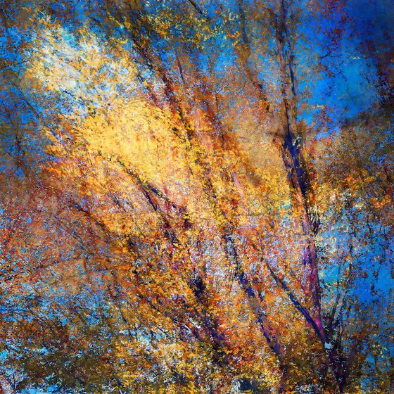 Childhood, I'm looking at the sun#4