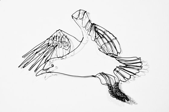 Descending seagulls sculptural wire drawings