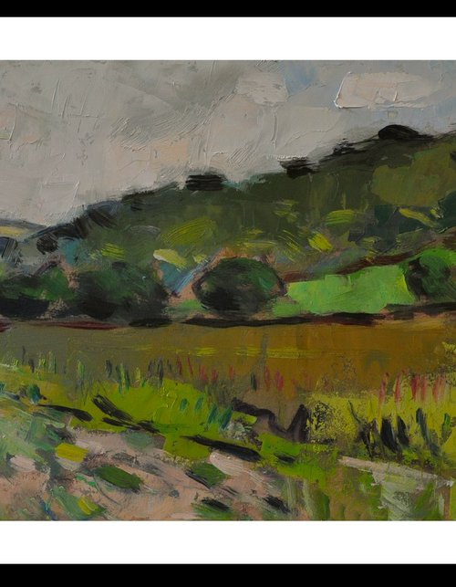 The Downs near Storrington by Andre Pallat