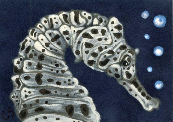 ACEO ATC Original Suede Painting Seahorse Marine Wildlife Art-Carla Smale