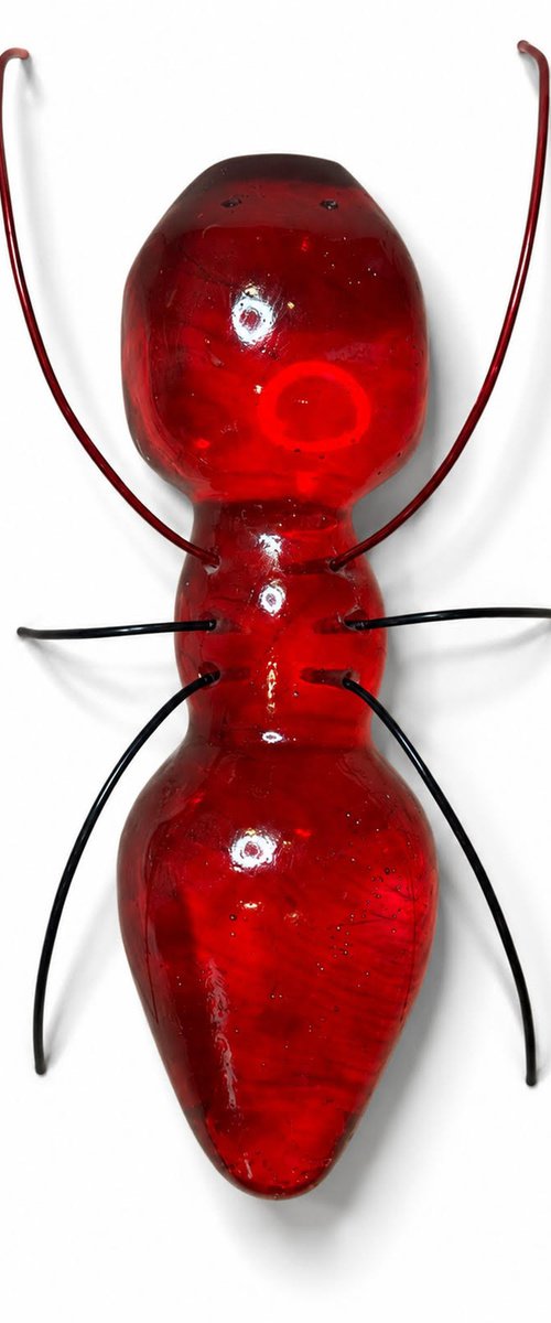 BIG RED YULI by tal rak