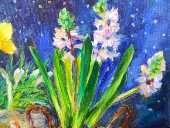 Daffodils and hyacinths
