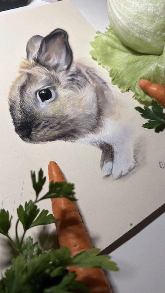 Portrait of a cute rabbit