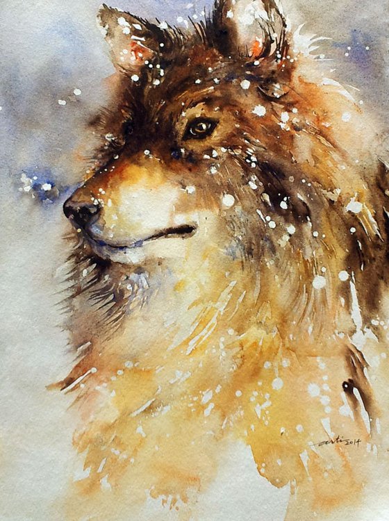 Wolfdog in Snow