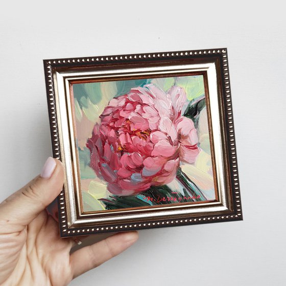 Peony flower