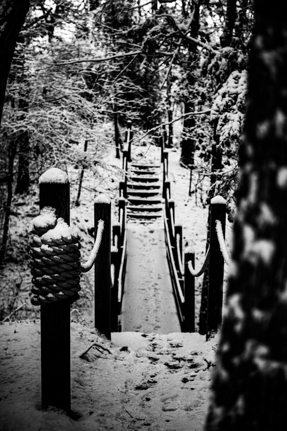 The Weight of Silence