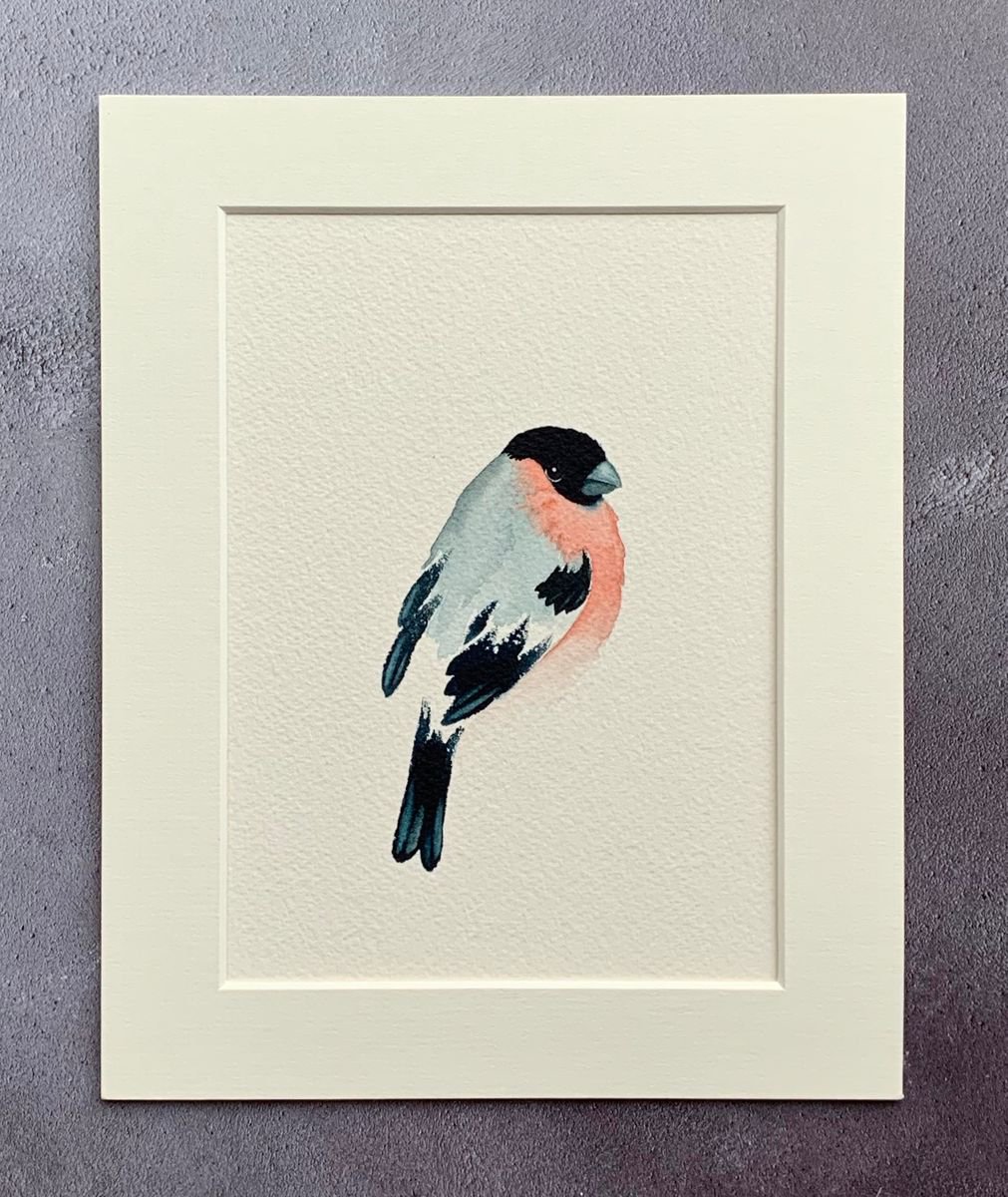 Bullfinch - mounted ready to frame by Cat Barrett