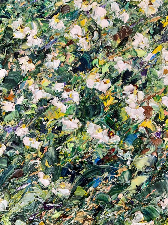 Field of white daisies