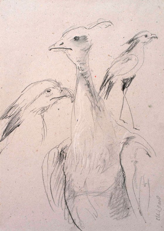 Sketches from the animal world. Birds (#2)