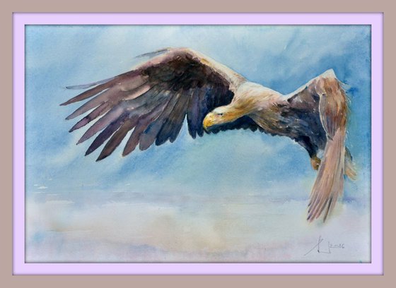 SEA EAGLE original watercolour 46x32