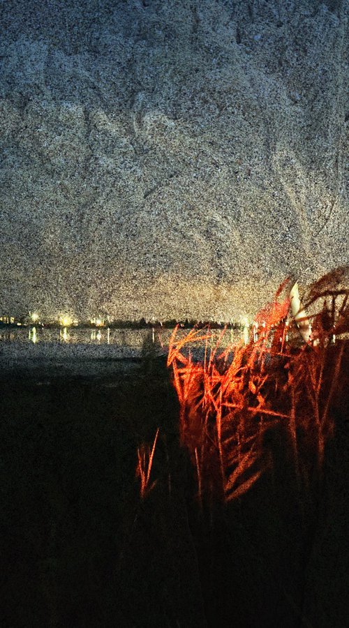 Screenprint Salt lake in Odesa by Yuliia Sharapova