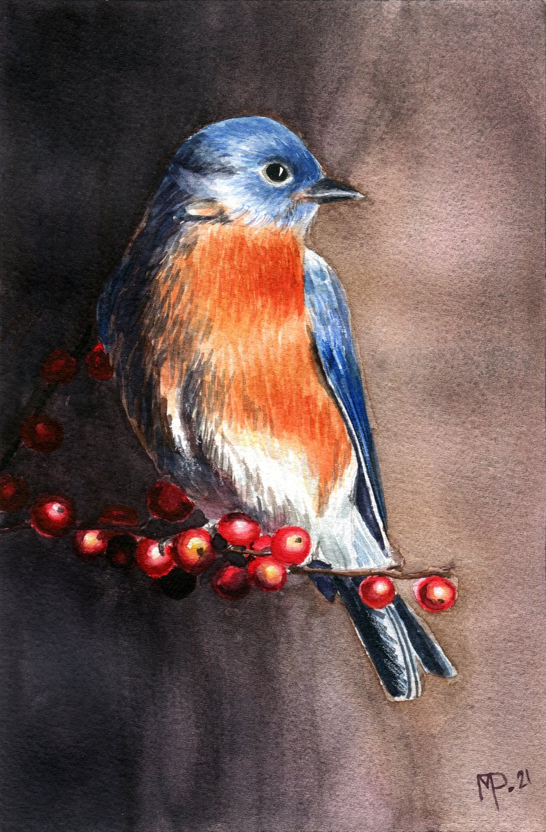 Eastern bluebird by Maria Pesotskaya
