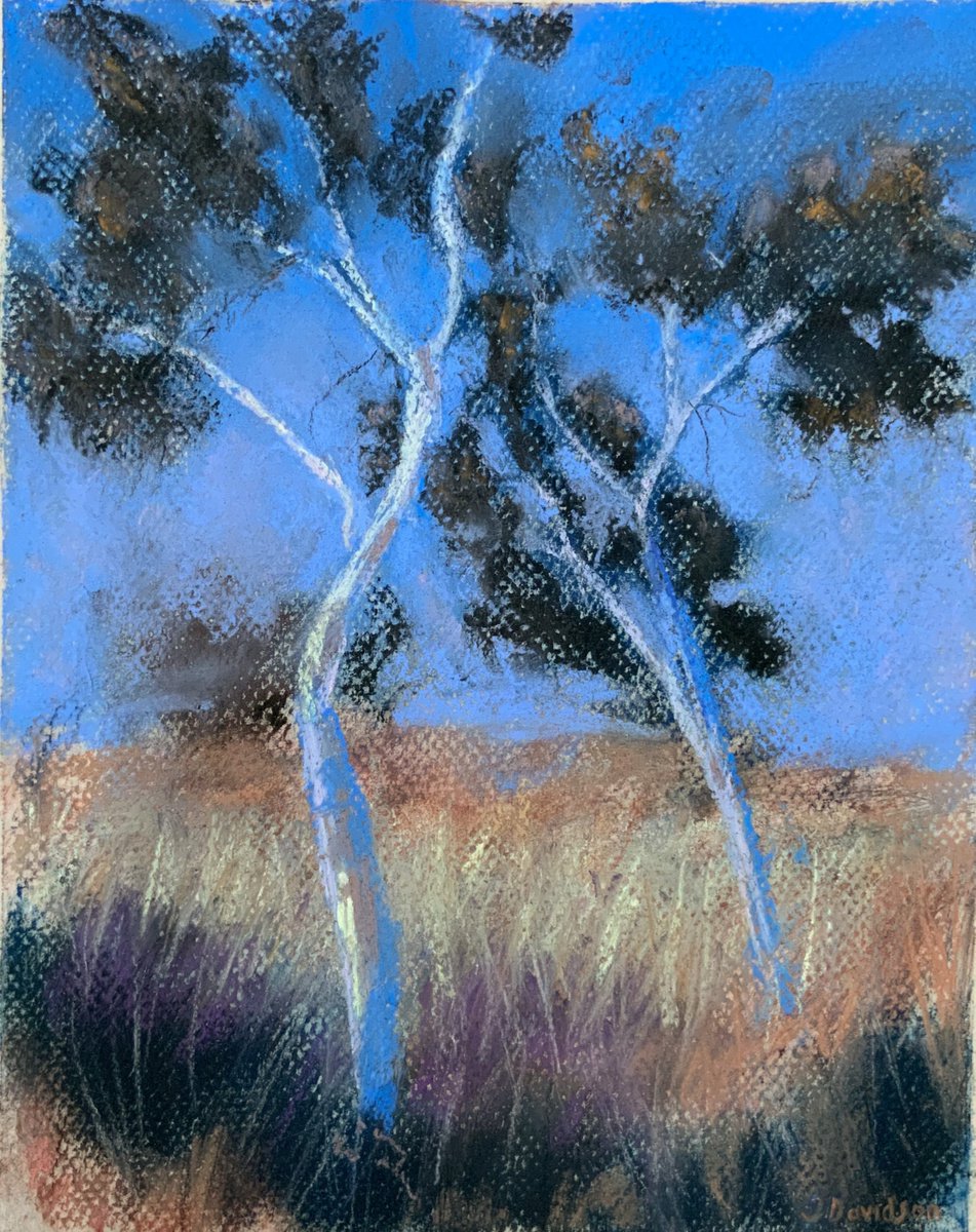 Australian Ghost Gum Trees by Jessica Davidson