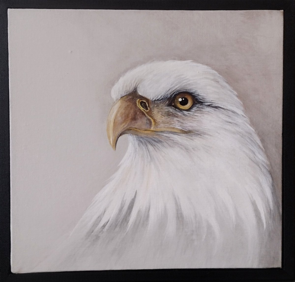 Bald Eagle by Sara Westaway