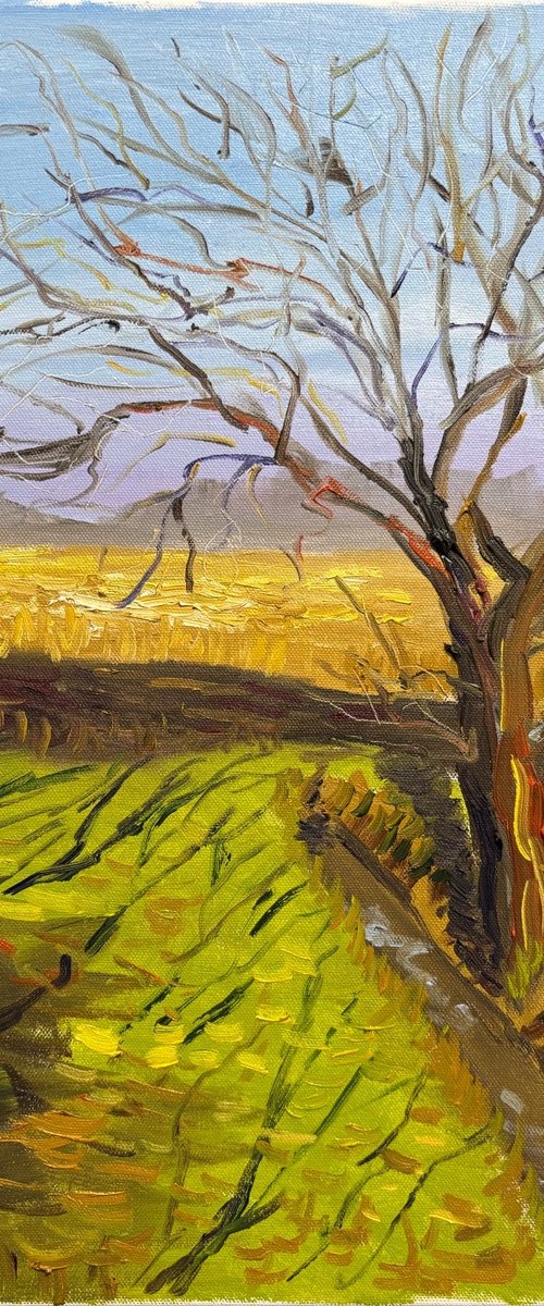 Lone Tree in a March Field by Dmitry Fedorov