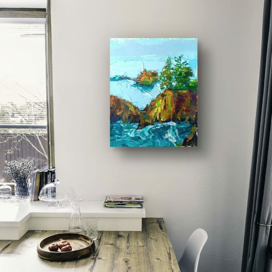 ROCKY SHORE.  SNOW IS IN THE AIR