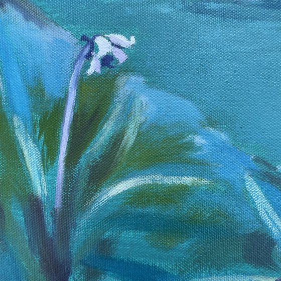 Bluebells dream of wispy skies