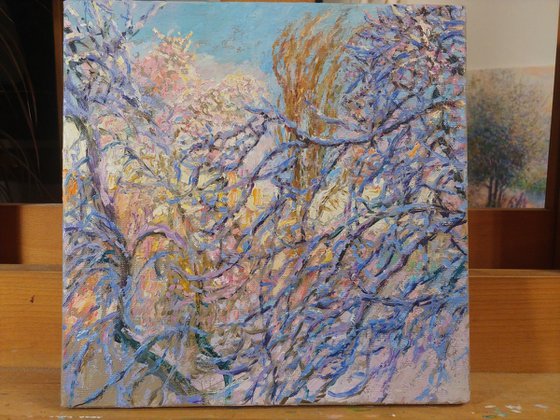 Засніжені каштани