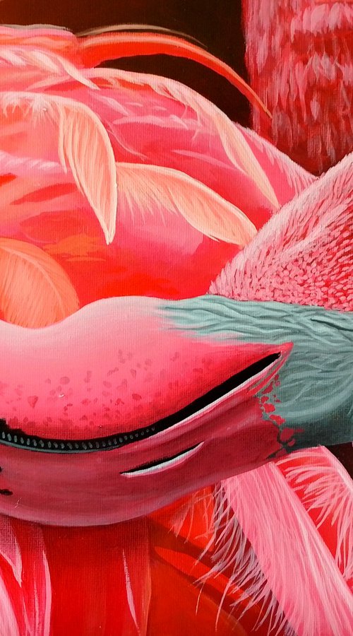 Flamingo by Barry Gray