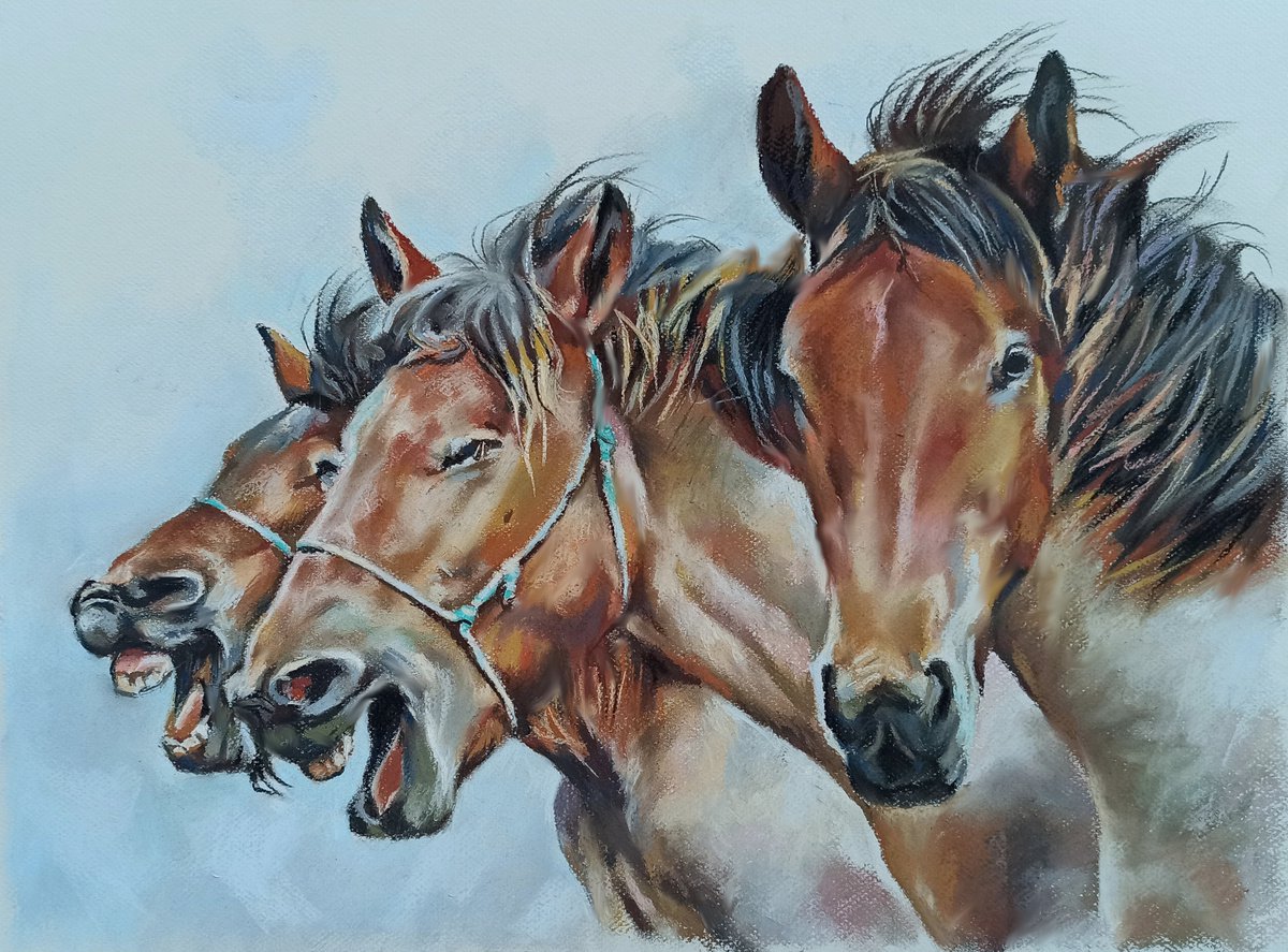 Horses laughs by Magdalena Palega