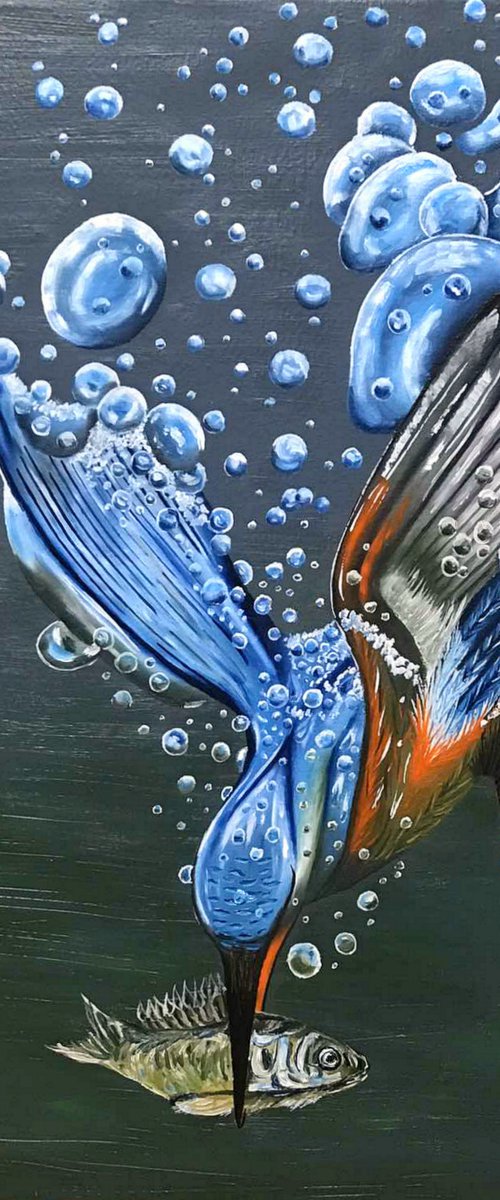 Kingfisher №4 by Elena Adele Dmitrenko
