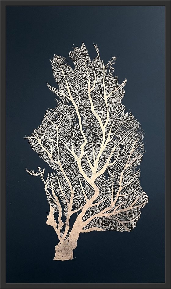 Sea Fan