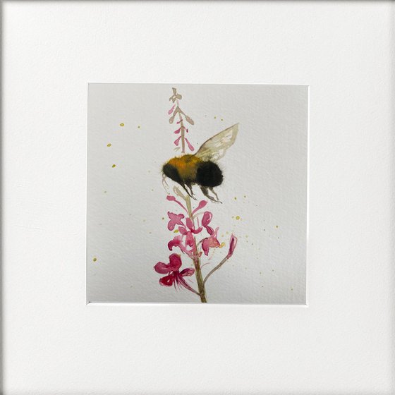 Bee Rosebay Willowherb Flower