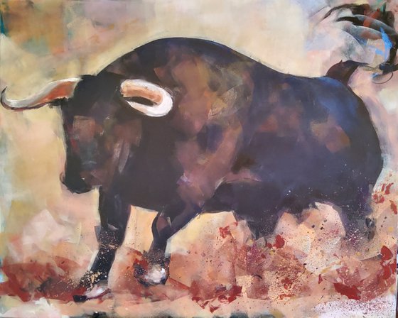 Bull serie 9