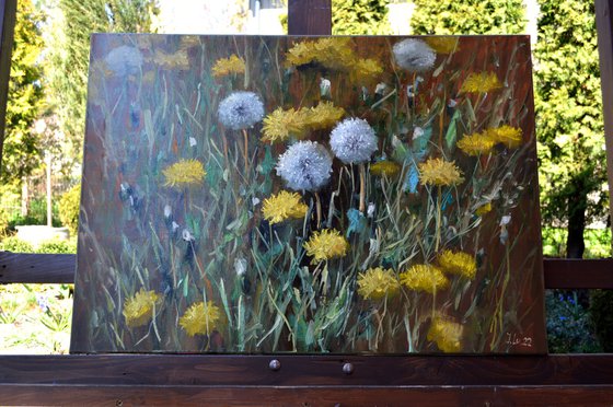 Fragment of a lawn of dandelions