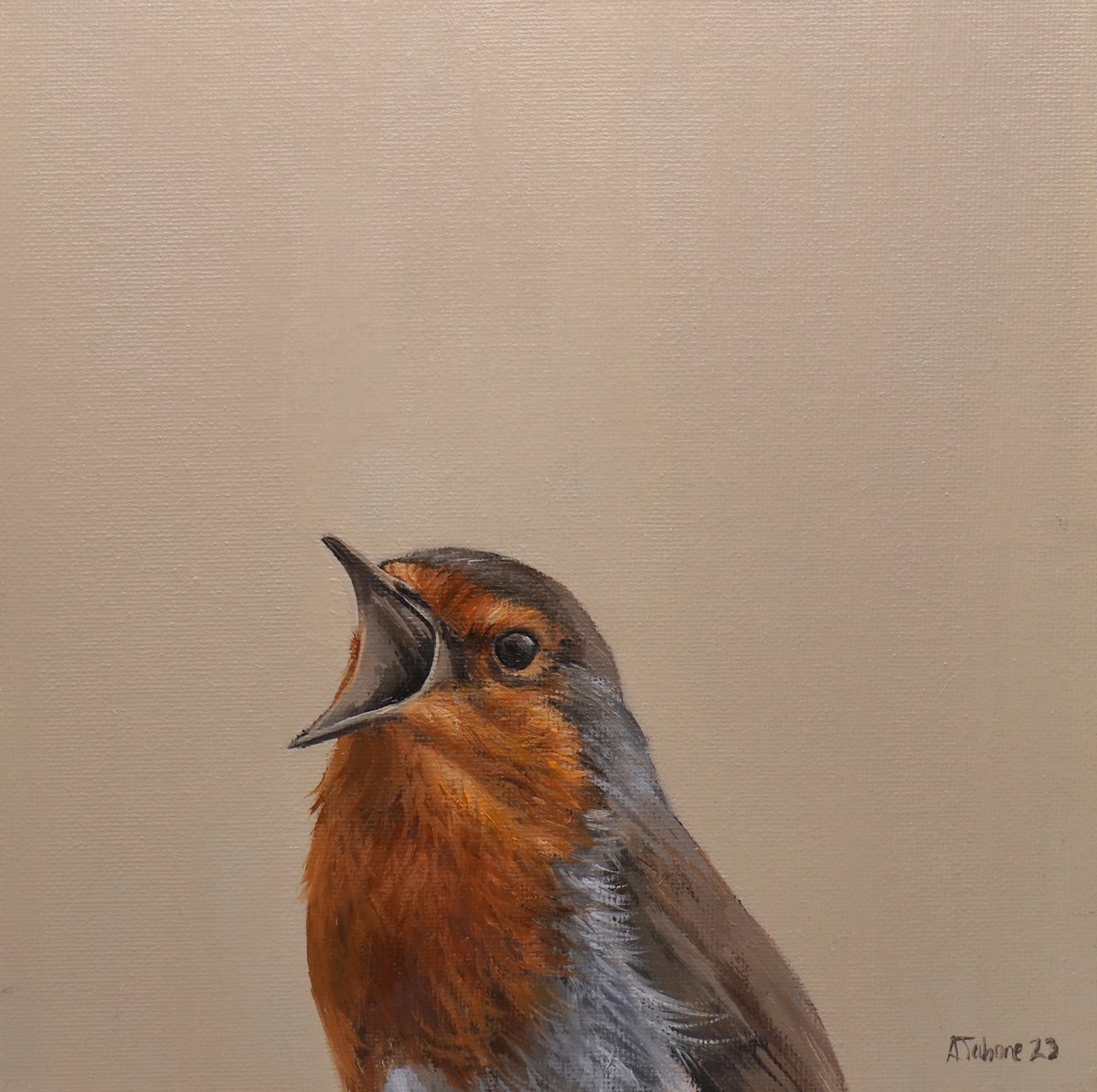 Singing Robin Red Breast at the Window by Alex Jabore