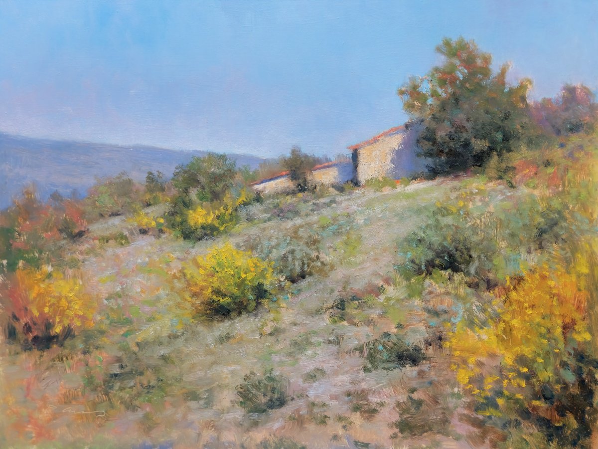 Garrigues In Provence By Pascal Giroud, 16 X 12, Artwork For Sale On Artfinder