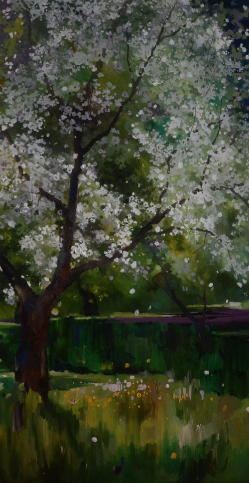 Blossoming. Spring by Zhanna Kondratenko