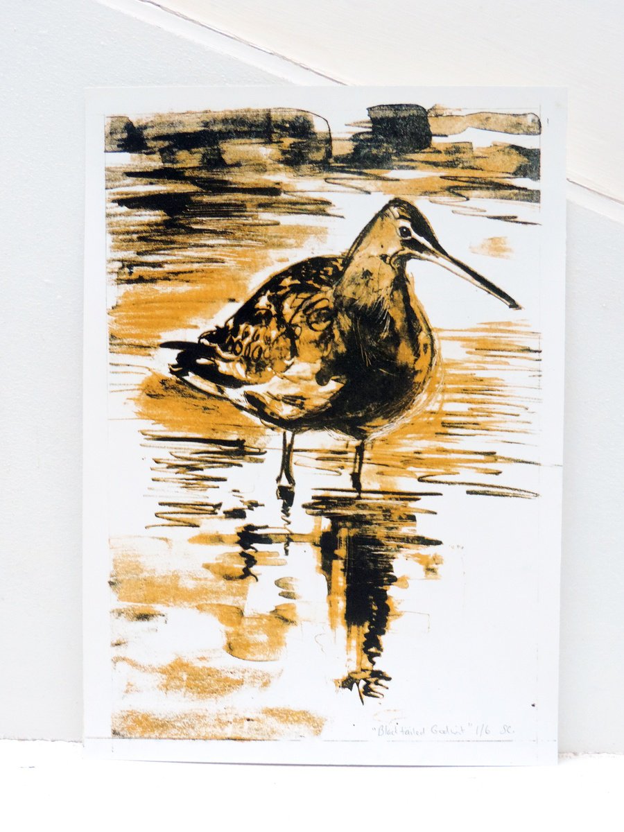 Wading bird (Black-tailed Godwit) by Sheila Chapman