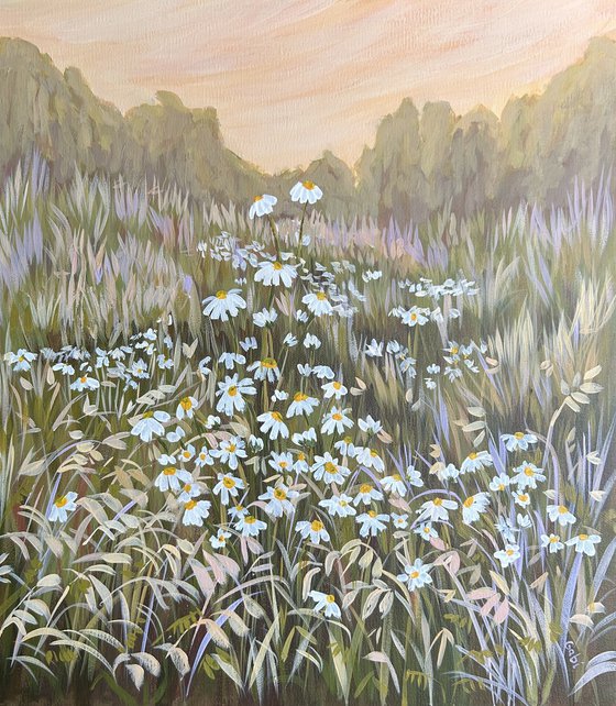 Evening in the Meadow