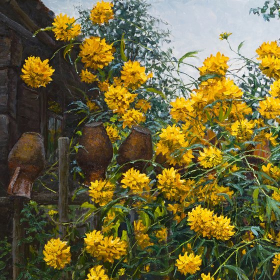 Yellow Flowers