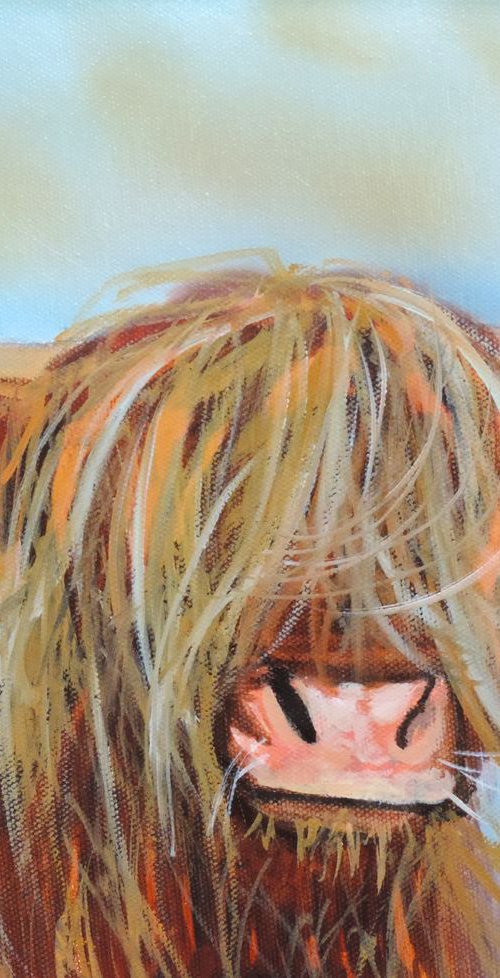 Highland cow by Gordon Bruce