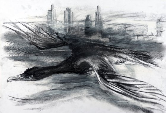 Cormorant, Thames, The City preparatory drawing2