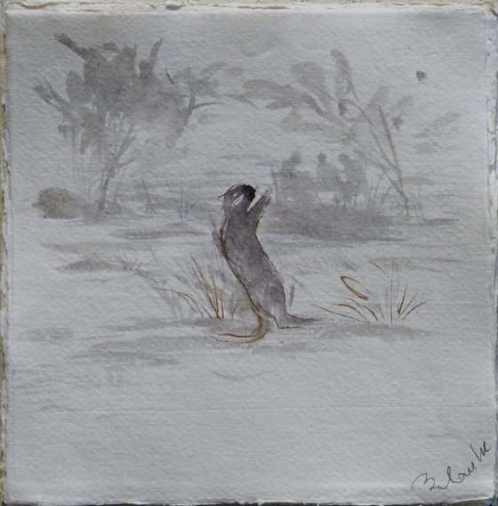 Cat on a ramble 2, 21x21 cm