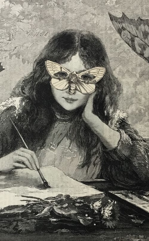The Watercolour by Tudor Evans