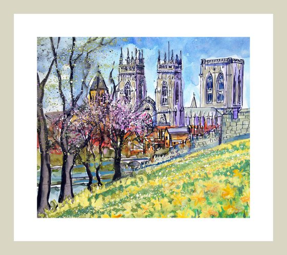 York in Spring with daffodils