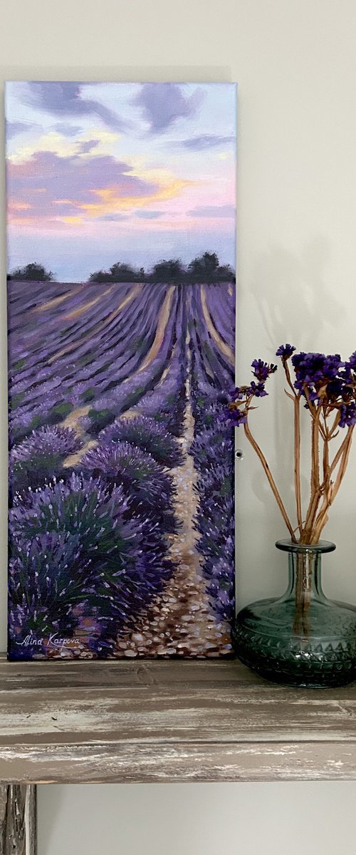 Lavender fields by Alina Karpova
