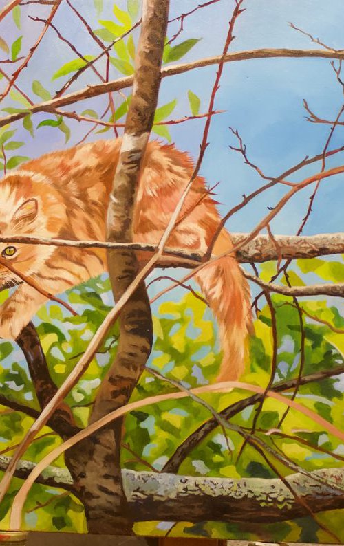 Cheshire Cat, Portrait of a Ginger Cat by Anne Zamo