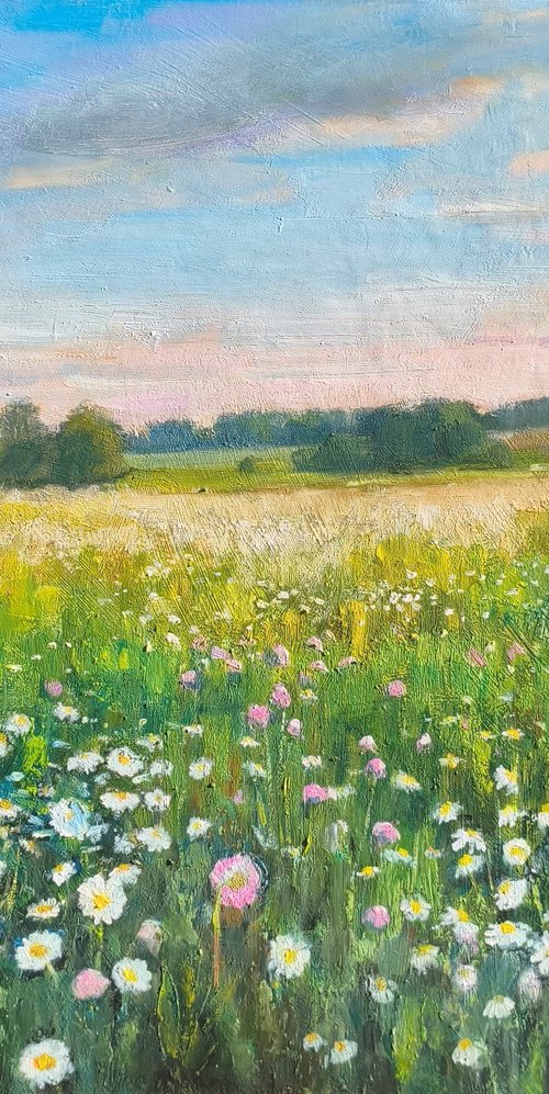 Field of daisies by Valentina Andrukhova