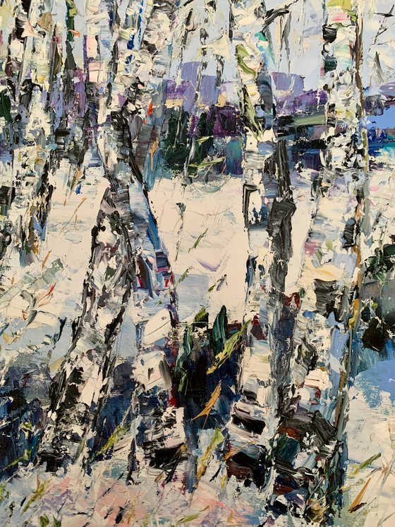 Birch trees in winter