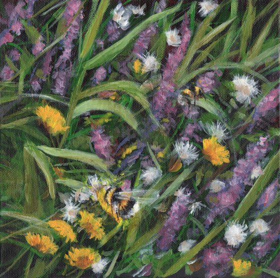 Summer Verge