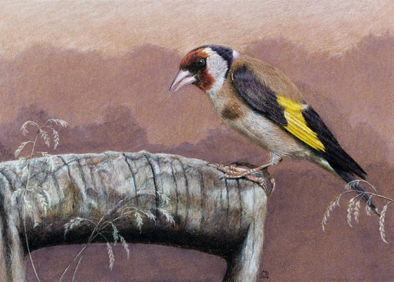 Original pastel drawing "European Goldfinch"